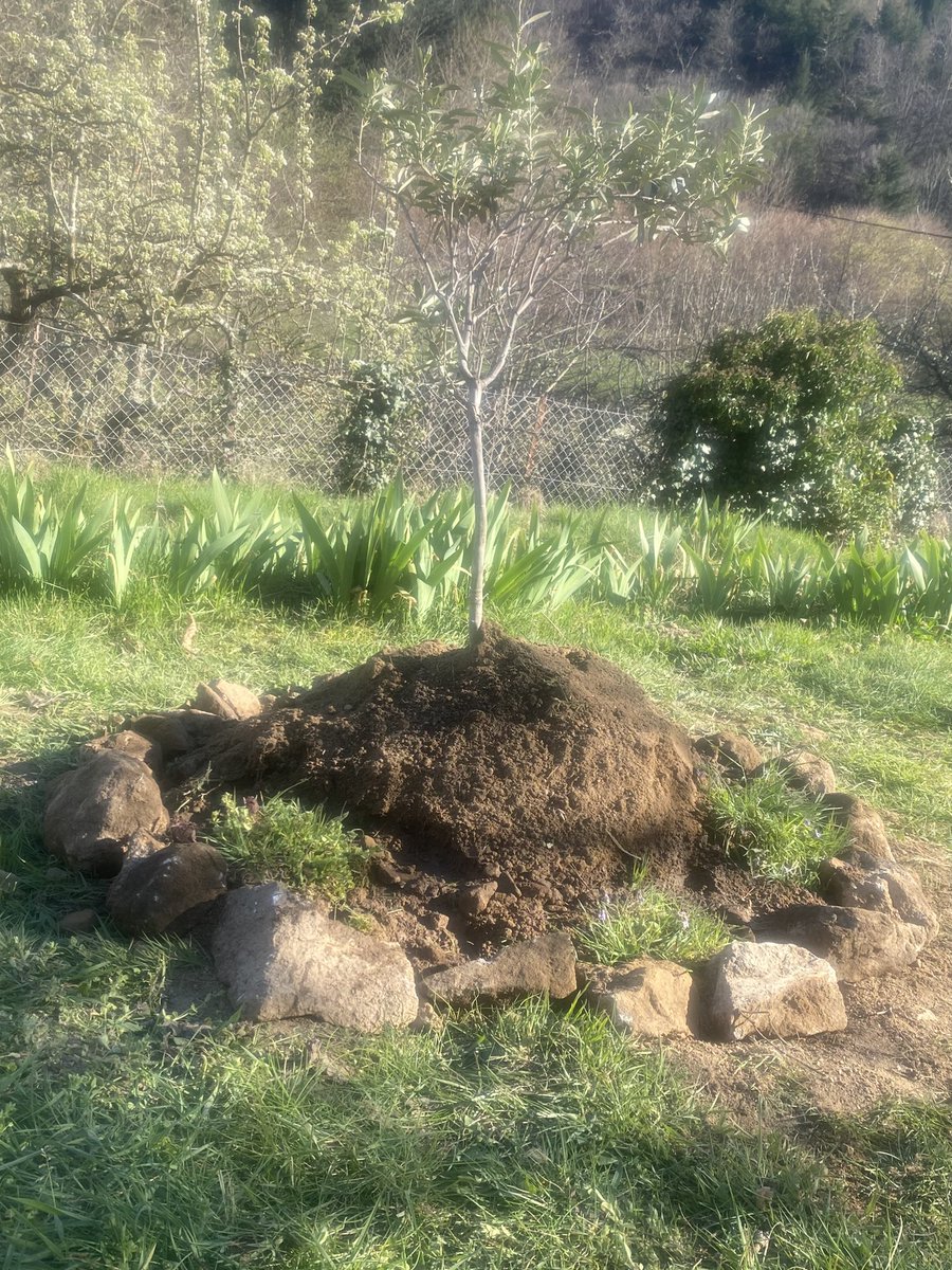 Olivier Clamaron tweet media