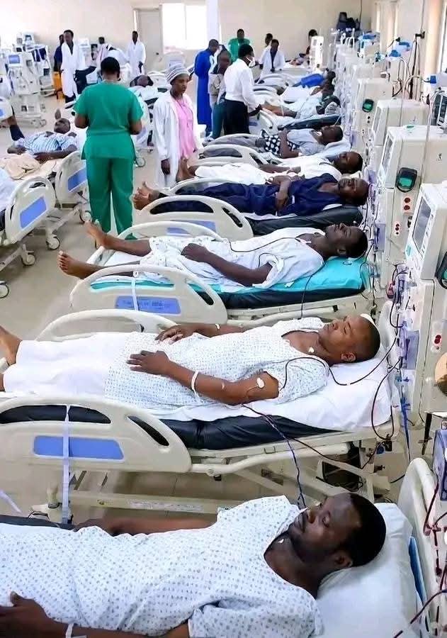 AFRICAMUSTBEFREE!!!!!!! tweet media