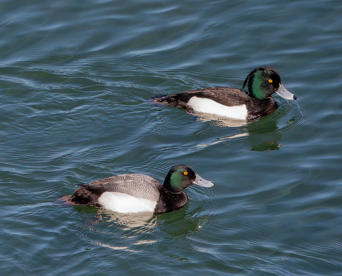 Rob Mould tweet media