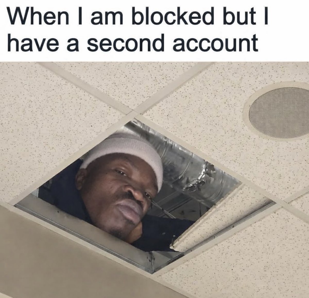 Out of Context Human Race tweet media