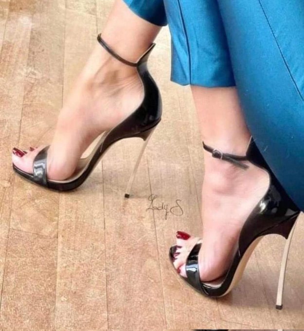 TO Shoe Guy 🇨🇦 tweet media