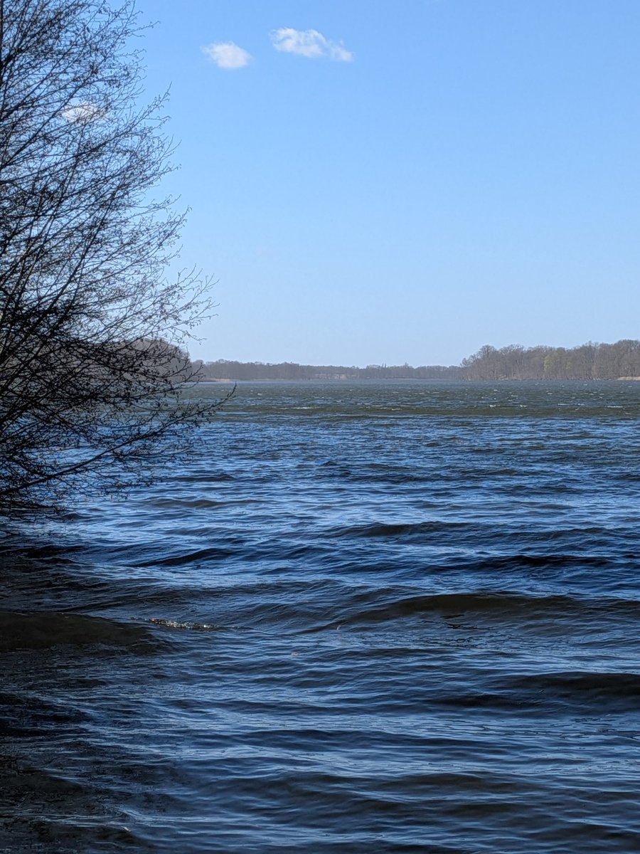 in_dubio tweet media