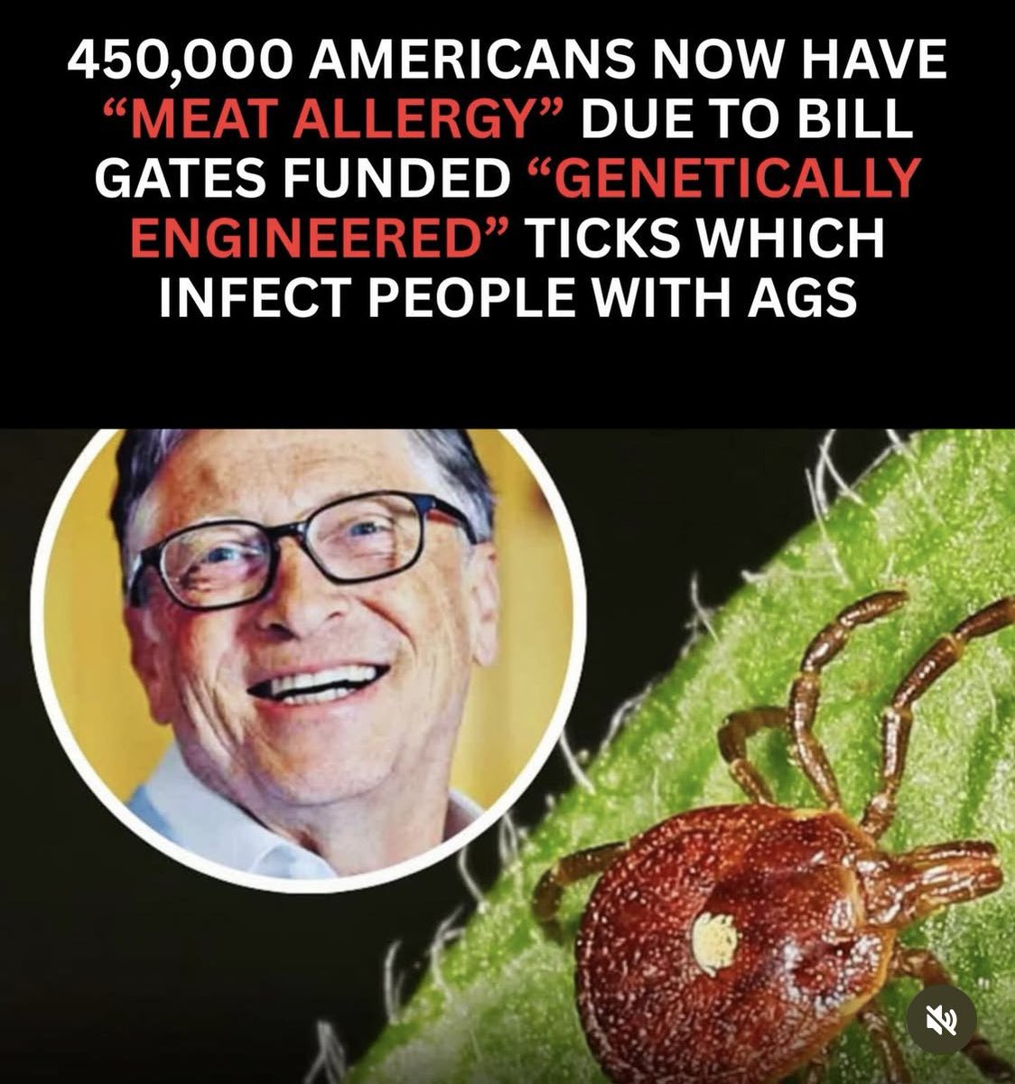 shownofearfloat tweet media