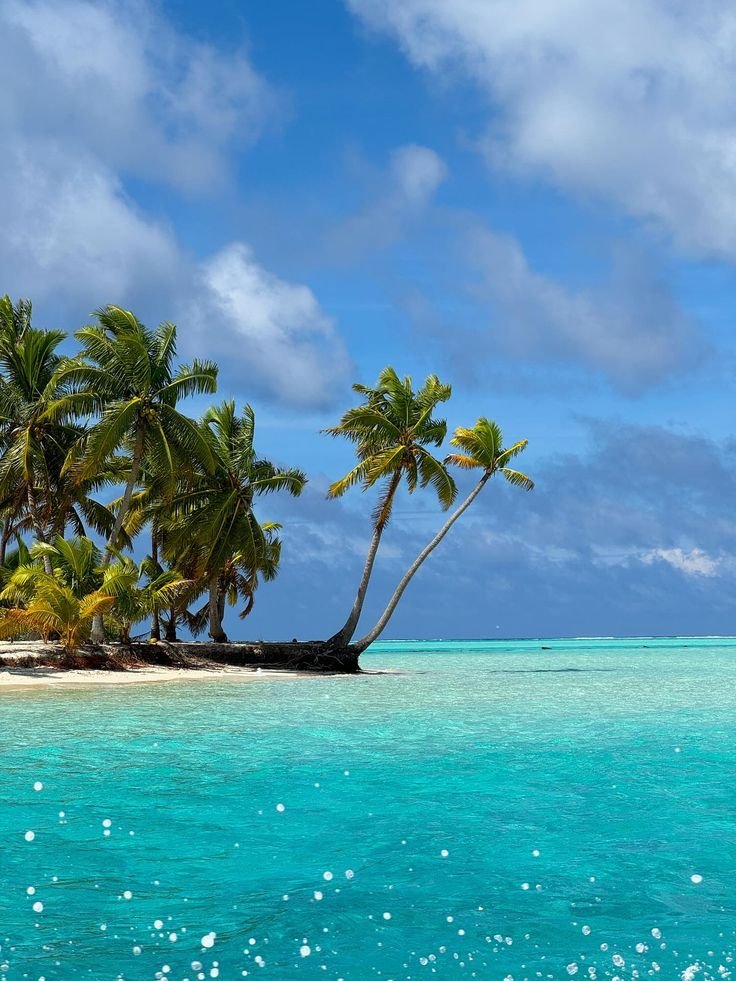 𝑙𝑦𝑟𝑎 tweet media