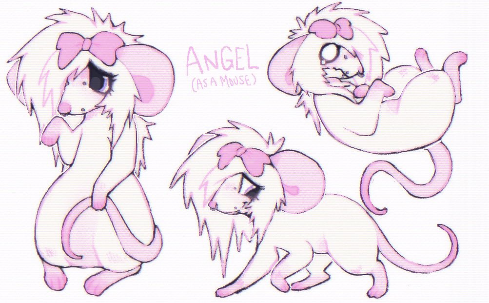 Angel 🌈🐾 tweet media