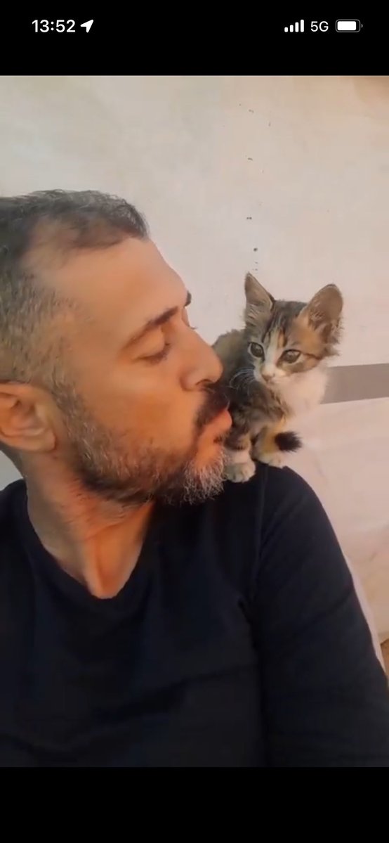 ไธ็ฐๆ่ฒ็ ็ฉถๆ tweet media