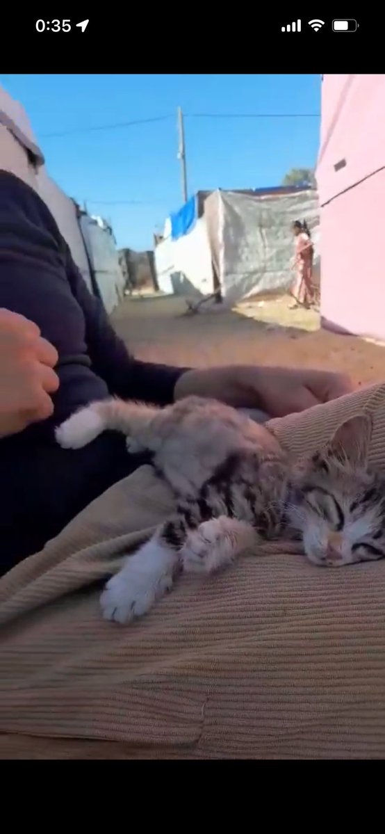 ไธ็ฐๆ่ฒ็ ็ฉถๆ tweet media