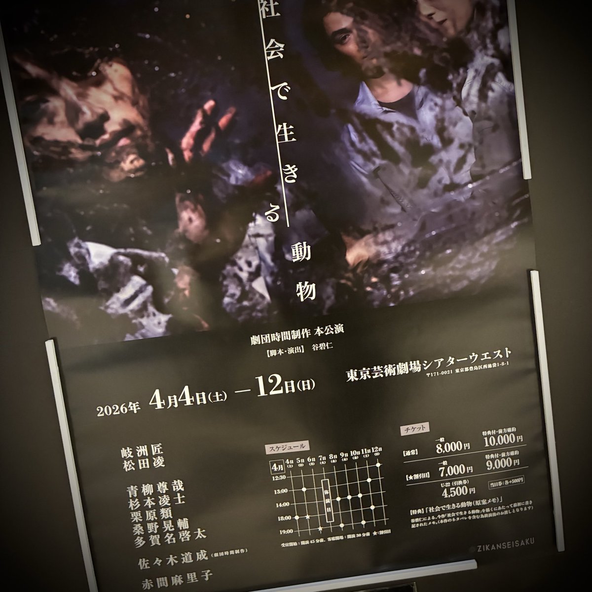 小早川 俊輔 tweet media