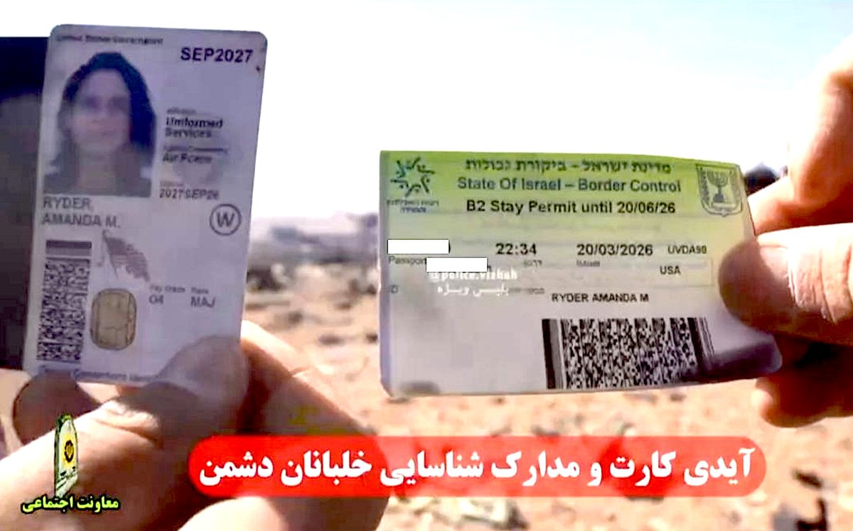 Sofia Afonso Ferreira tweet media