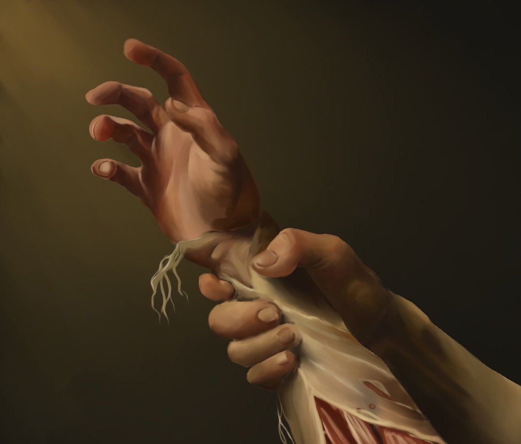 𝔏𝔲𝔠𝔦𝔡☆✨ tweet media