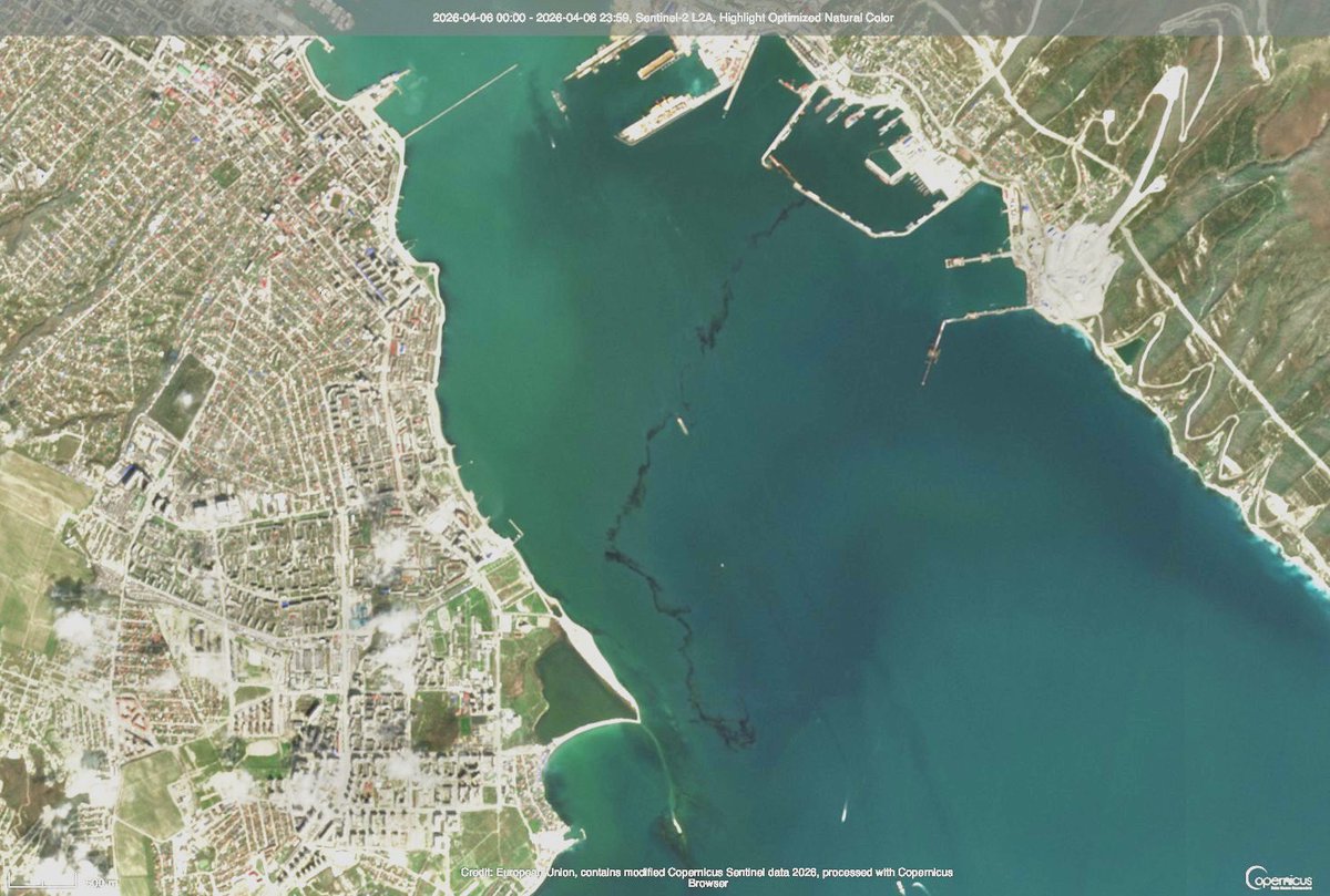 Yörük Işık tweet media