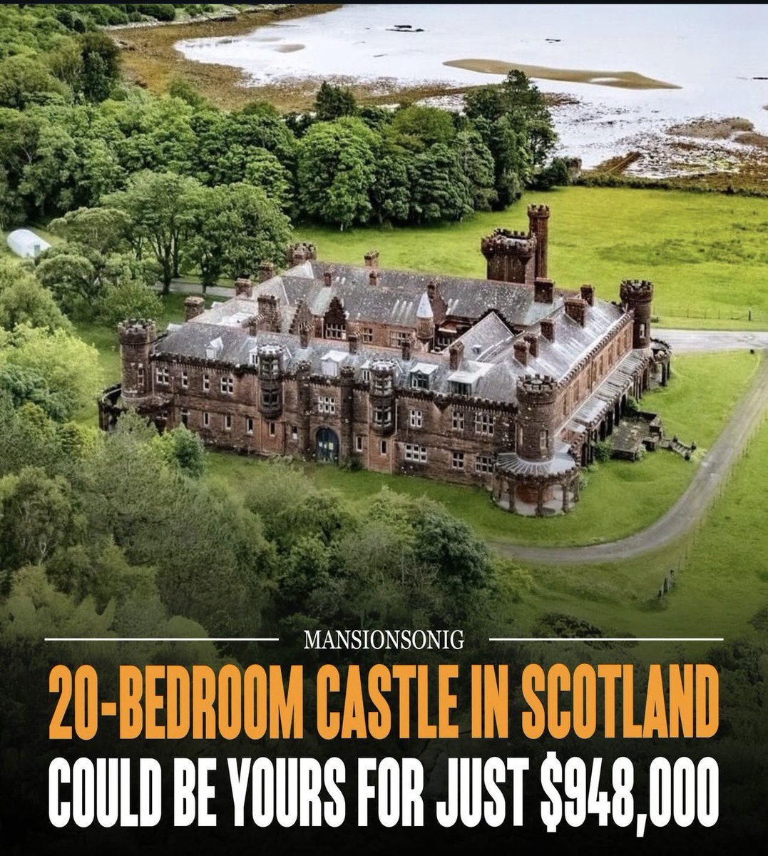 AverageJonas 🇳🇴 tweet media