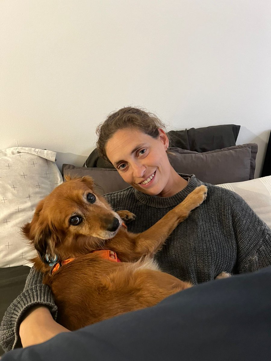 El amor que este perro me tiene