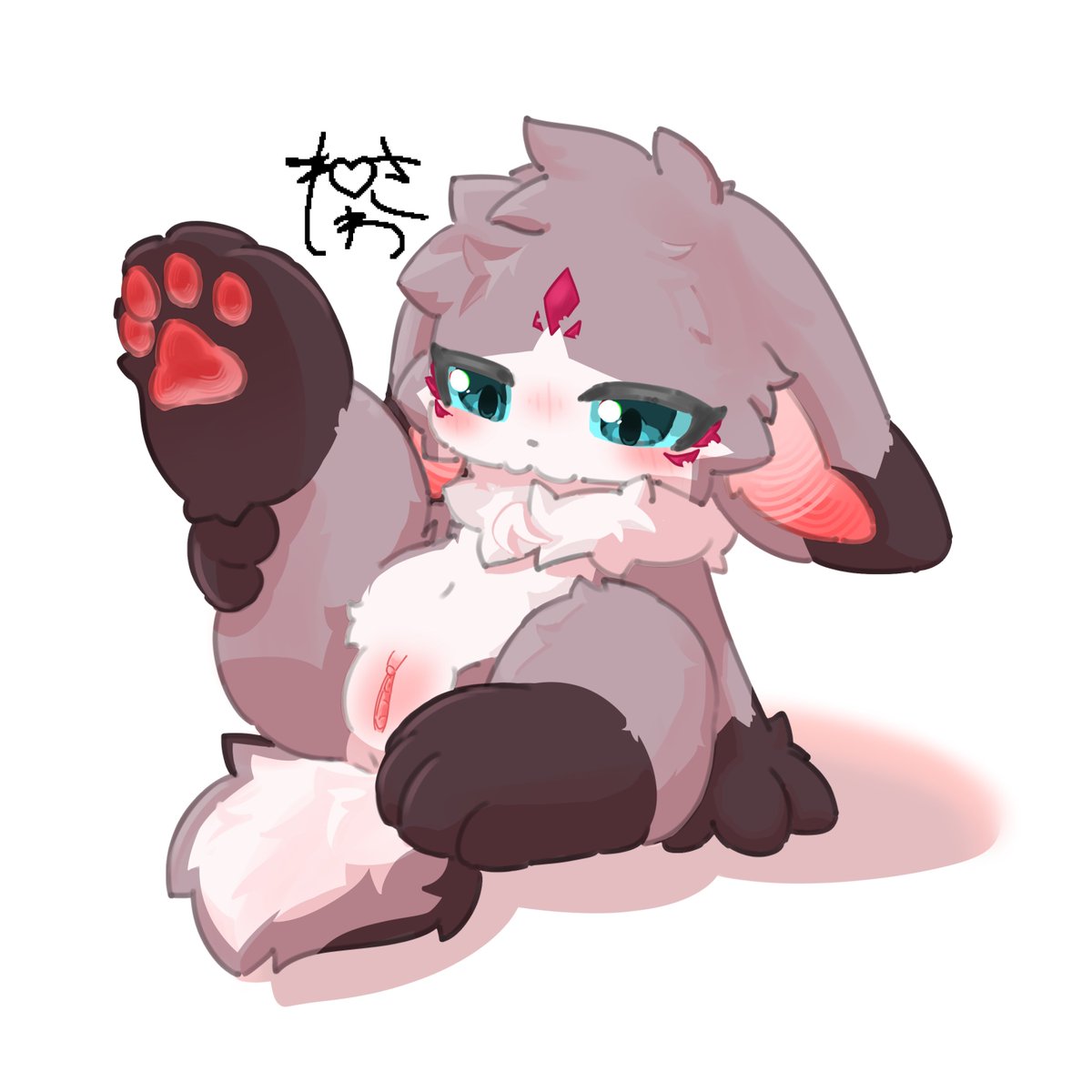 宁泽(ねいさわ)♡ tweet media