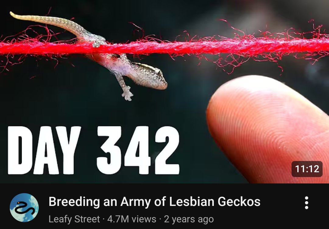 casey / liz tweet media