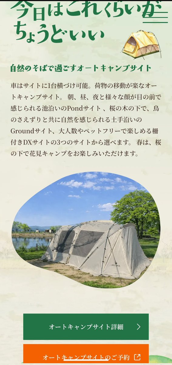 彩ひでCAMP⛺ tweet media