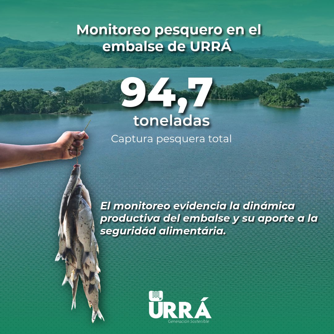 Urragenerador tweet media