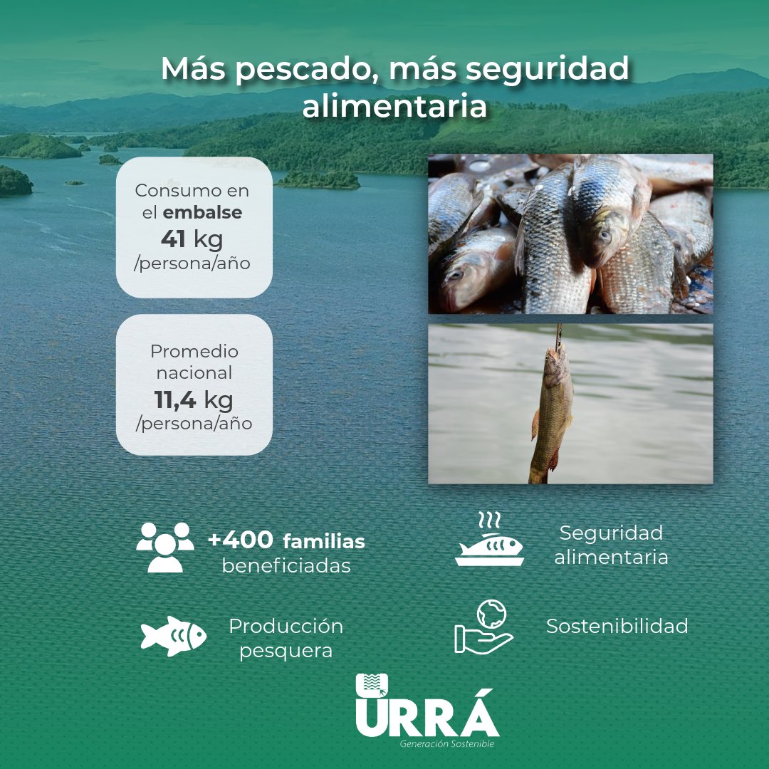 Urragenerador tweet media