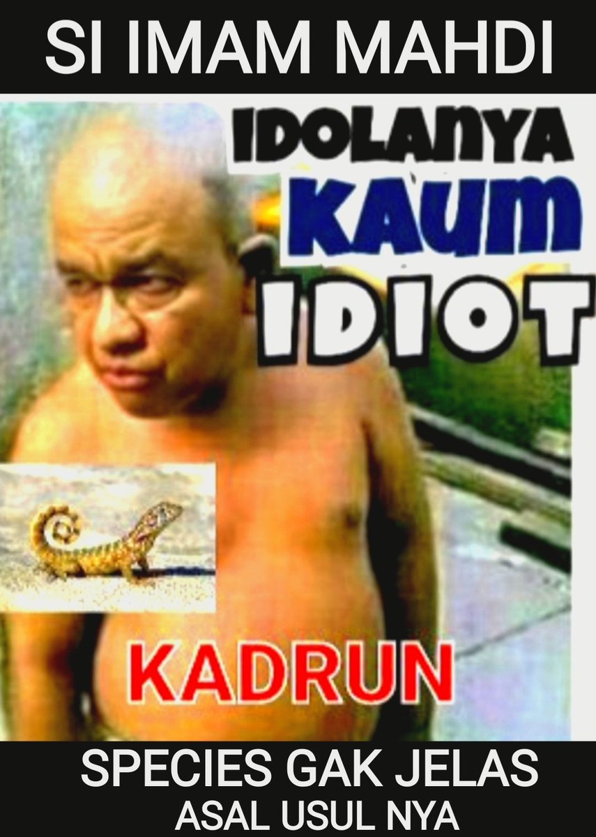 Elephant tweet media