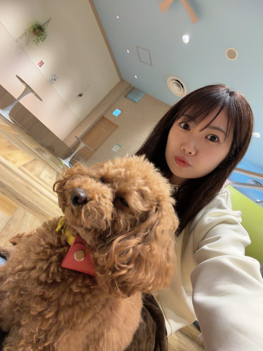 新土居沙也加(ぺんぺん)/アイドルプロデューサー tweet media