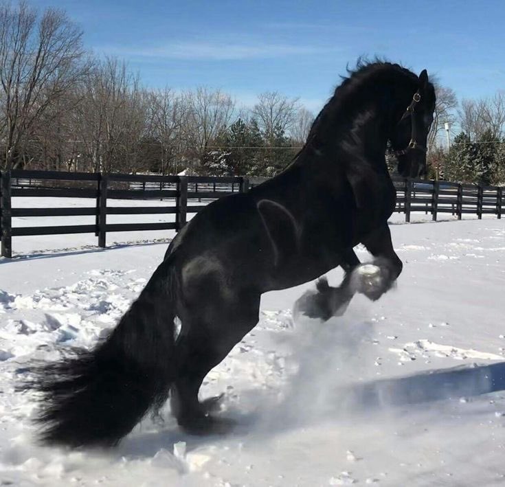 Trey Haas tweet media