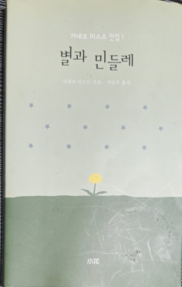 비오는바다 tweet media