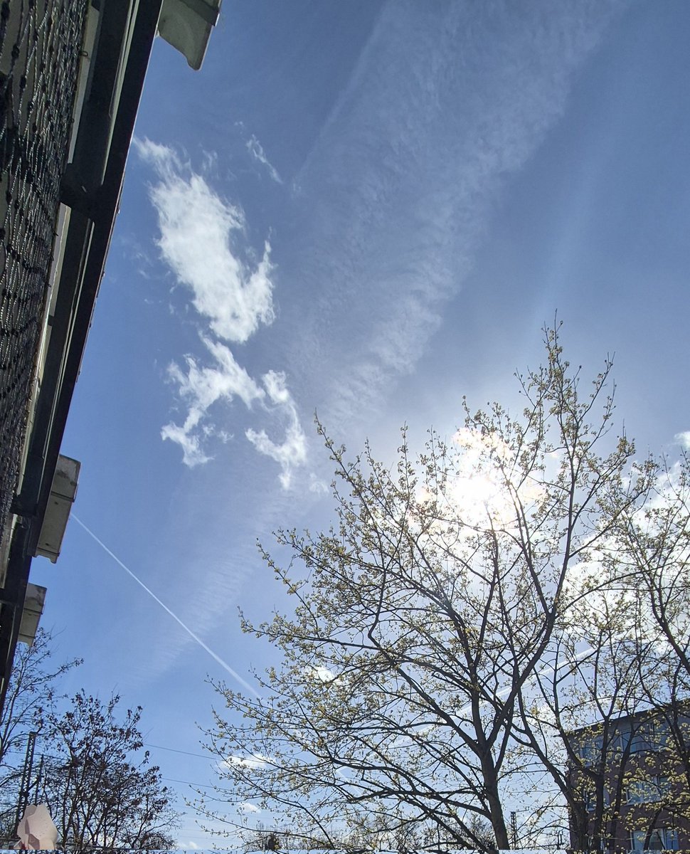 Urban420Drive tweet media