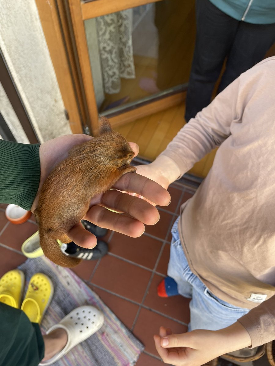 Сладіслав-Маркіян Рушникця tweet media