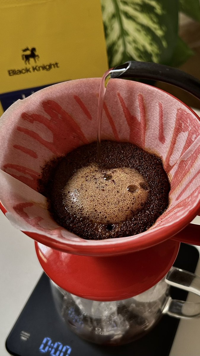 زينو tweet media