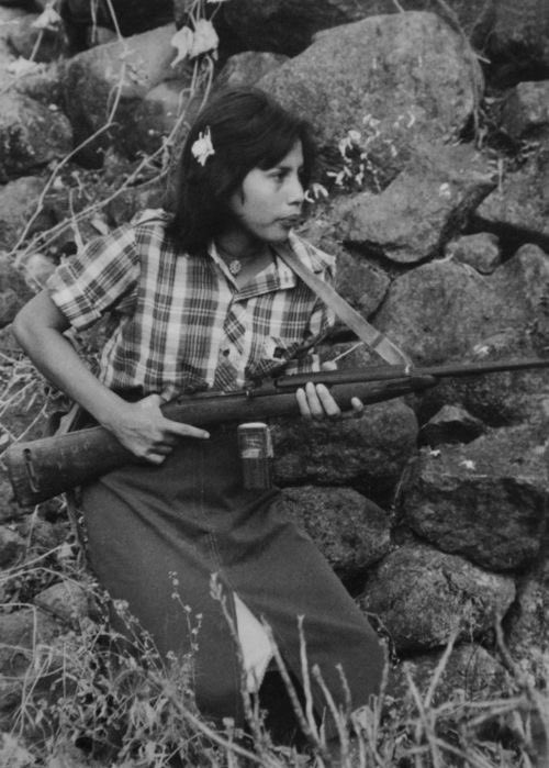 Explorer Of Moments tweet media