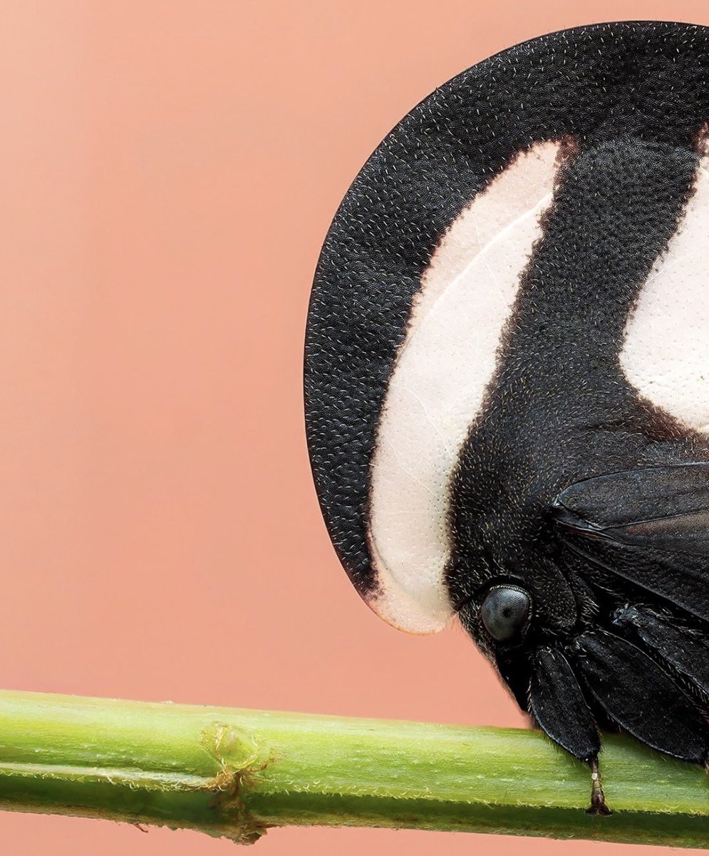 s3u futuro ex 🏹 tweet media