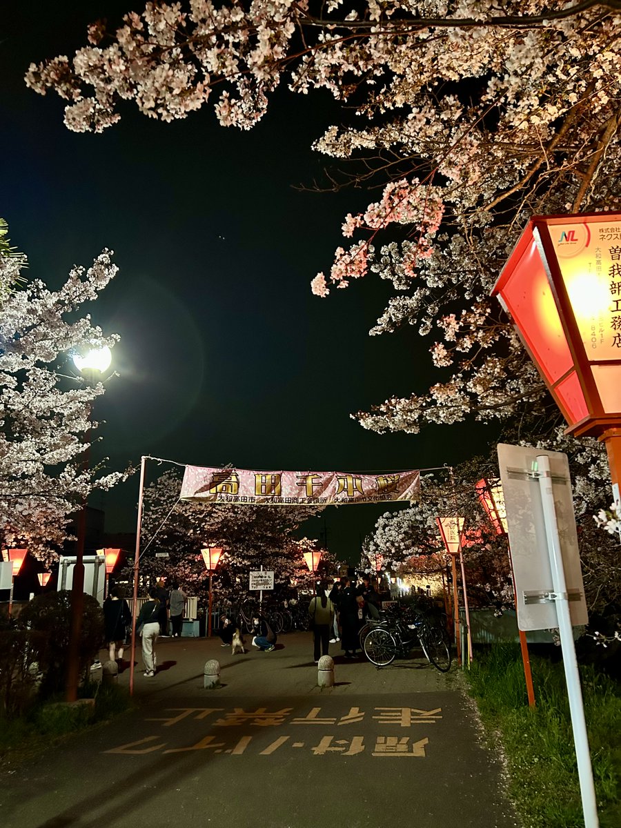 yokochin153604's tweet image. My family and I enjoyed yozakura at the Ōnaka Park.

Yozakura means night cherry blossom in Japanese.

It has different beauty than daytime cherry blossom.

The illuminated cherry blossoms are so beautiful🌸🌸🌸

#Japan 
#japanese
#Nara