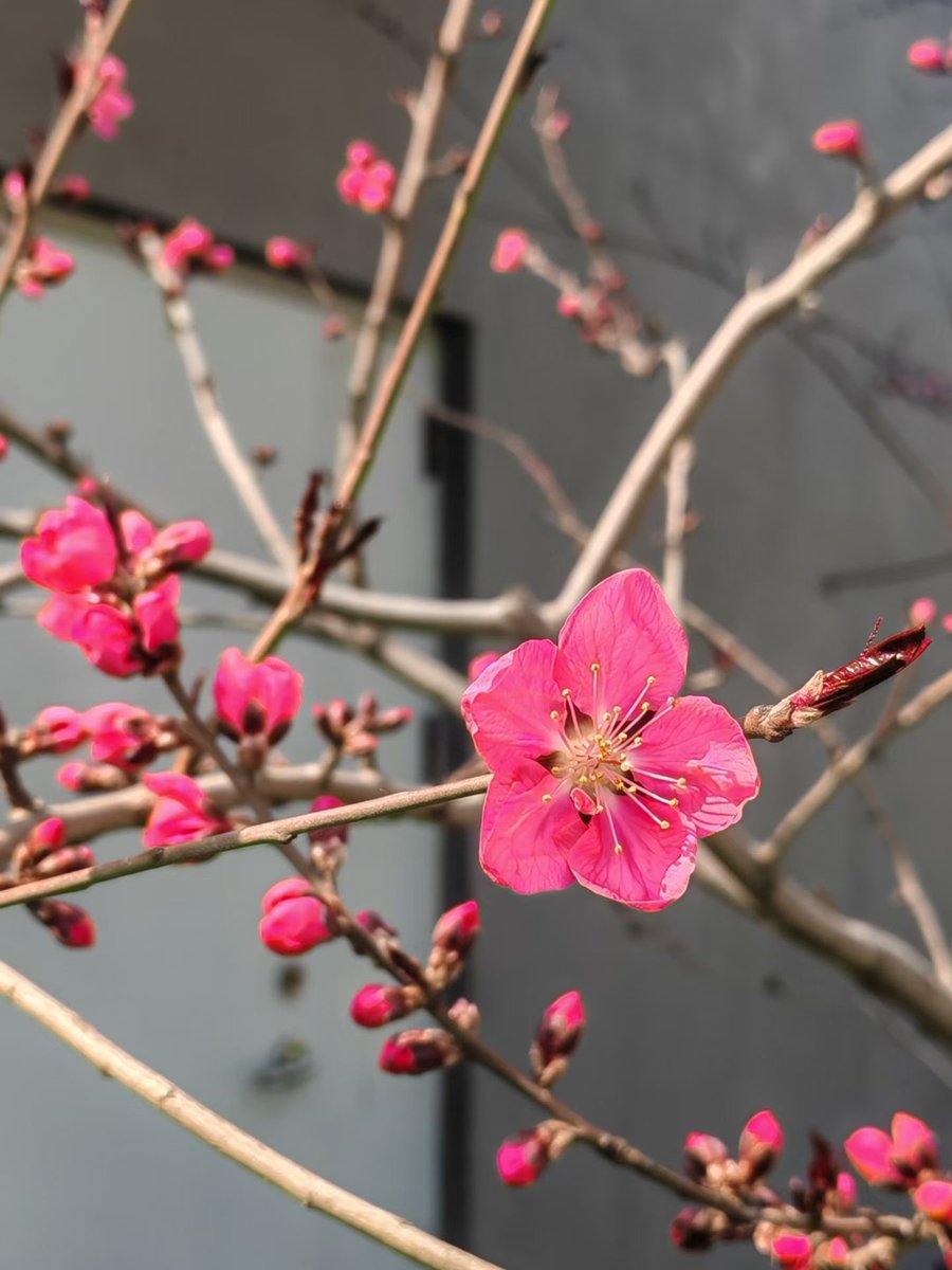 xiaomifeng0224's tweet photo. 给一个最好的自己，不管生活发生什么，每一天都会是新的一天。
#LibertyCats #LibertyCatNFT #NFT https://t.co/WyKnG6DwZT