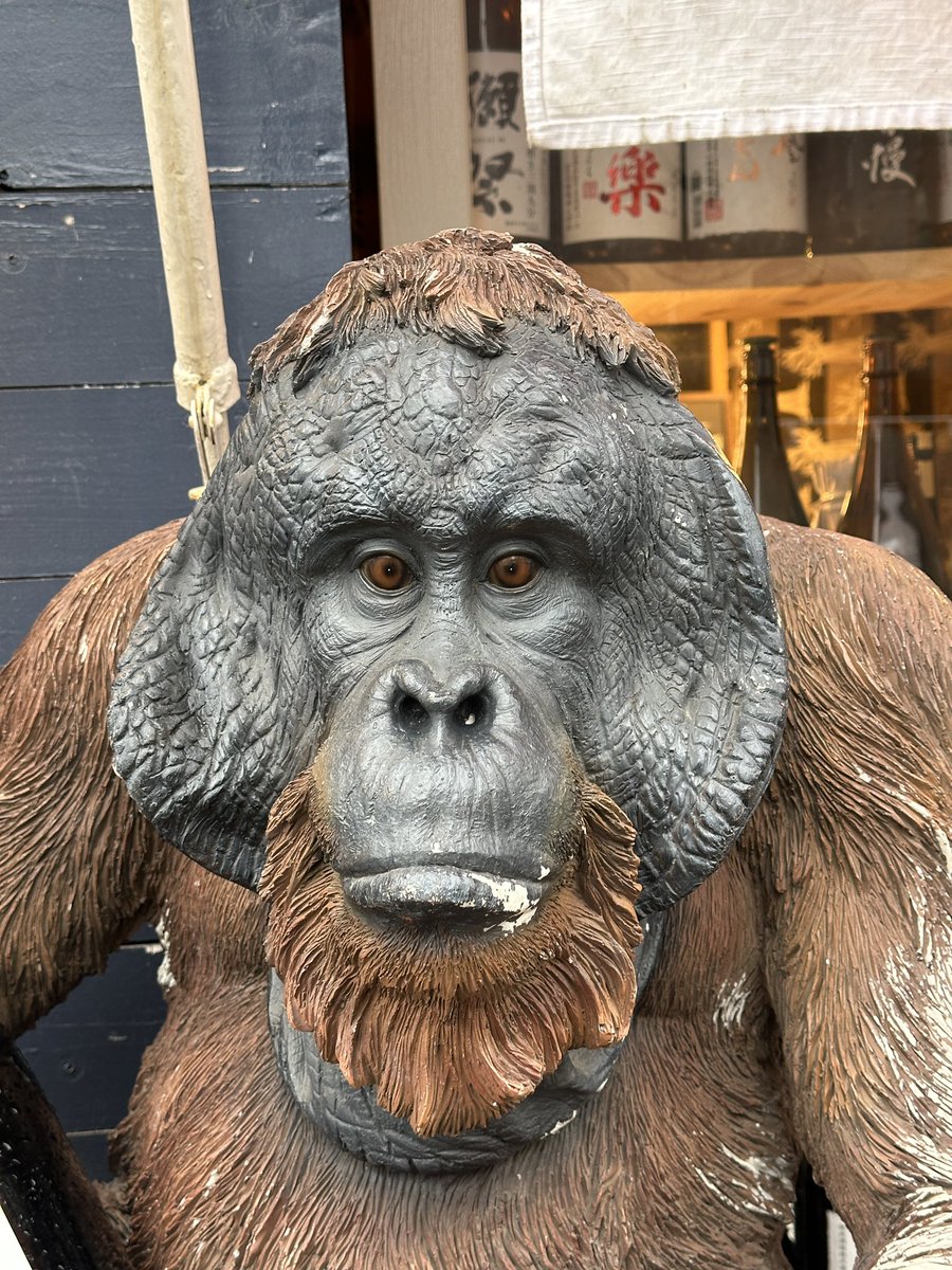 นี่คือใบหน้าของฉัน เมื่อเห็นราคาตั๋วไปญี่ปุ่นช่วงสิ้นปีหลังจากน้ำมันโลกปรับราคาขึ้นไม่หยุด