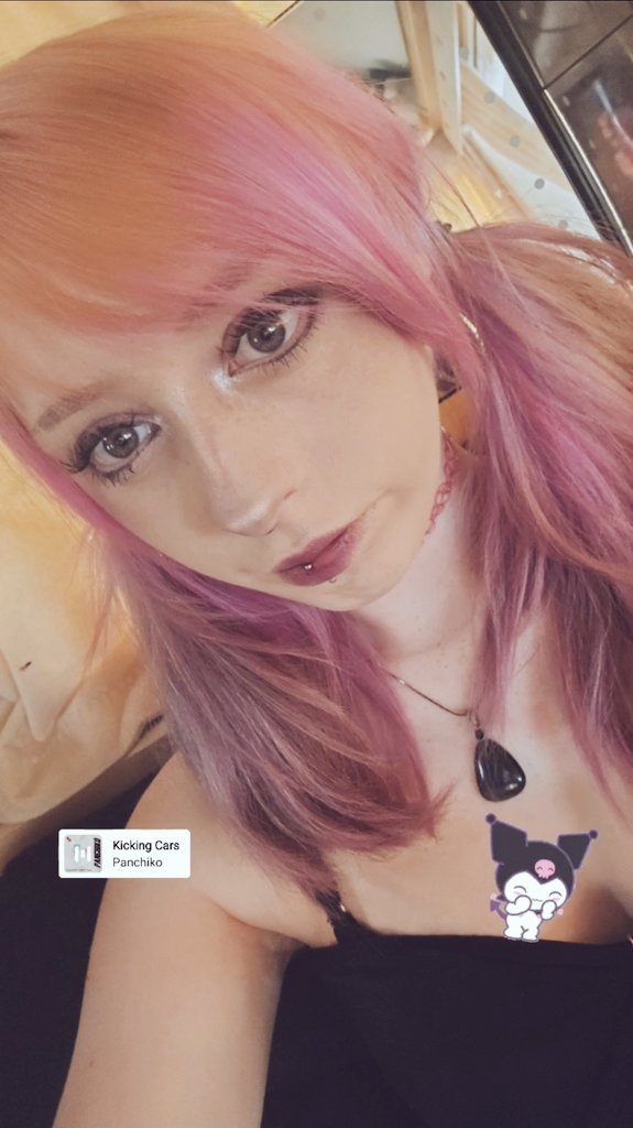 jø 🐾 || SHEDTWT tweet media