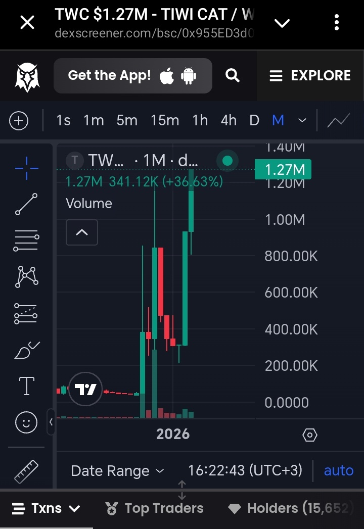 🐳𝓜𝓮𝓶𝓮 𝓦𝓱𝓪𝓵𝓮 🐳 🌟 tweet media