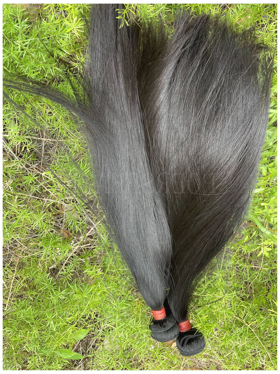 melissa_0913's tweet photo. 🌝🙏🏽  Our hair let you get more customers trust 🍄👍  At the same time top grade virgin human hair get our a lot of end users 😖😍 because Each one pursues good things  🎶💚  Trust me 🤘🏻 Connect us, let us be successful together. 📲whatsapp /+⓼⓺⓵⓷⓼⓶⓺⓪⓵⓼⓷⓽⓪ https://t.co/RoHkKckG4R