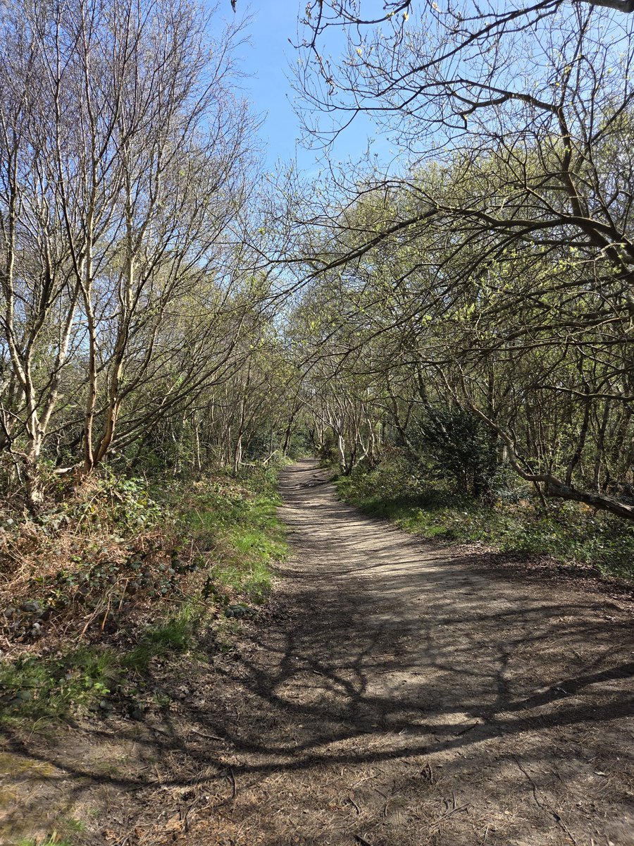 theFOALGroup's tweet image. Was having a very enjoyable walk around Hengistbury Head today.... #LoveWhereYouLive