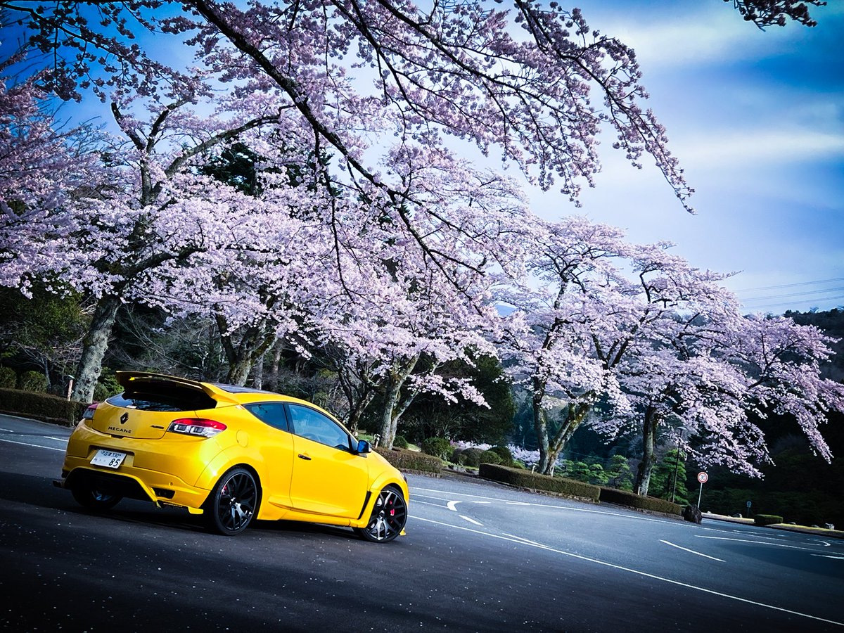 ZumiO@真面目系パリピ tweet media