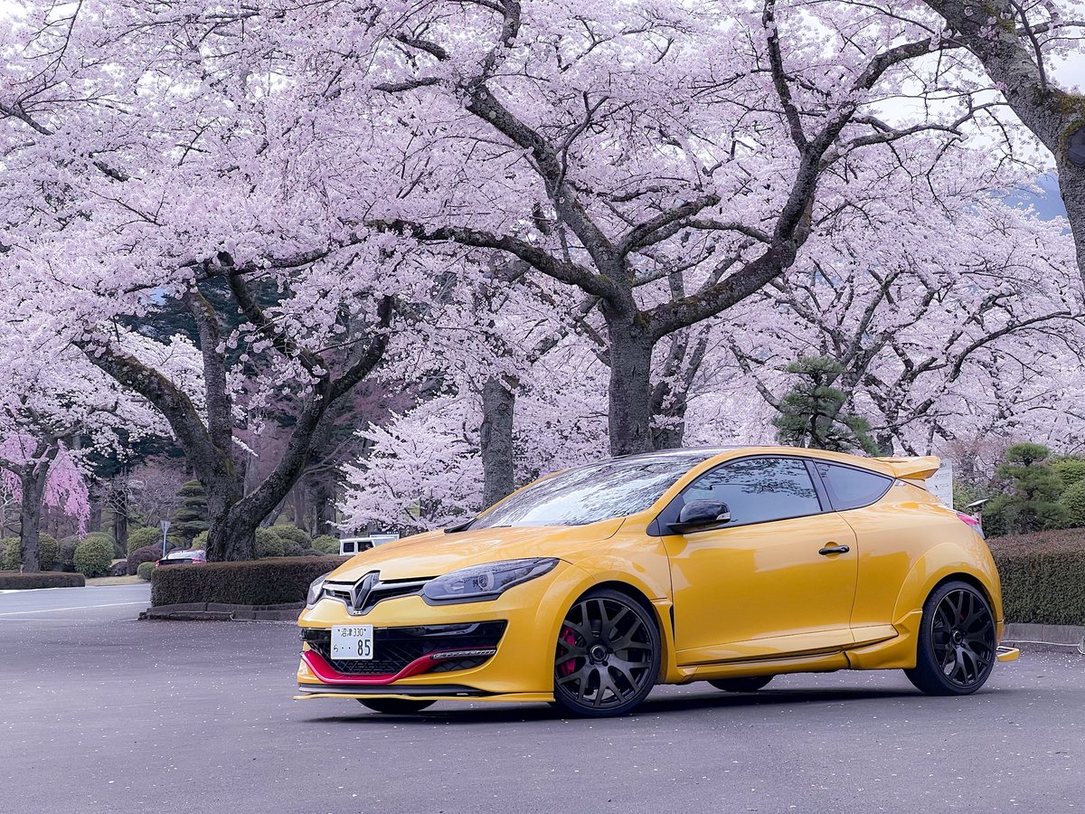 ZumiO@真面目系パリピ tweet media