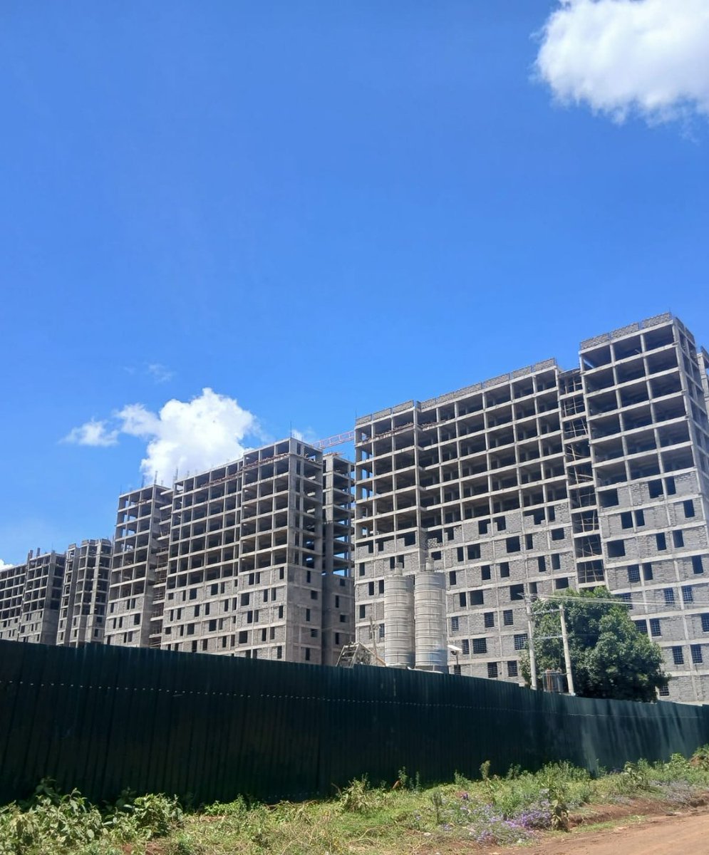 Tilingi 🐘 tweet media