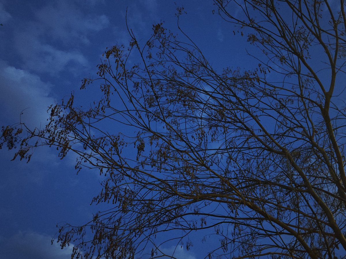 卡卡KAKA tweet media