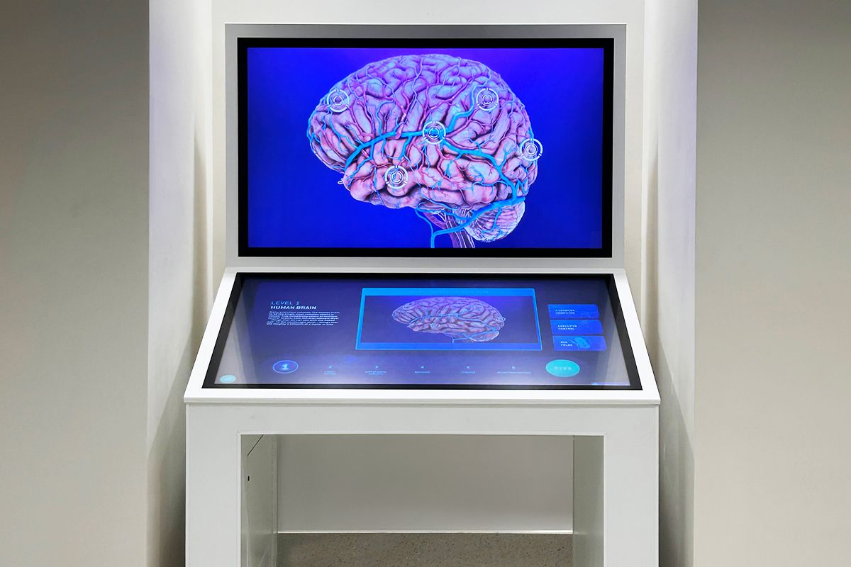 Intervoke Scientific Communication tweet media