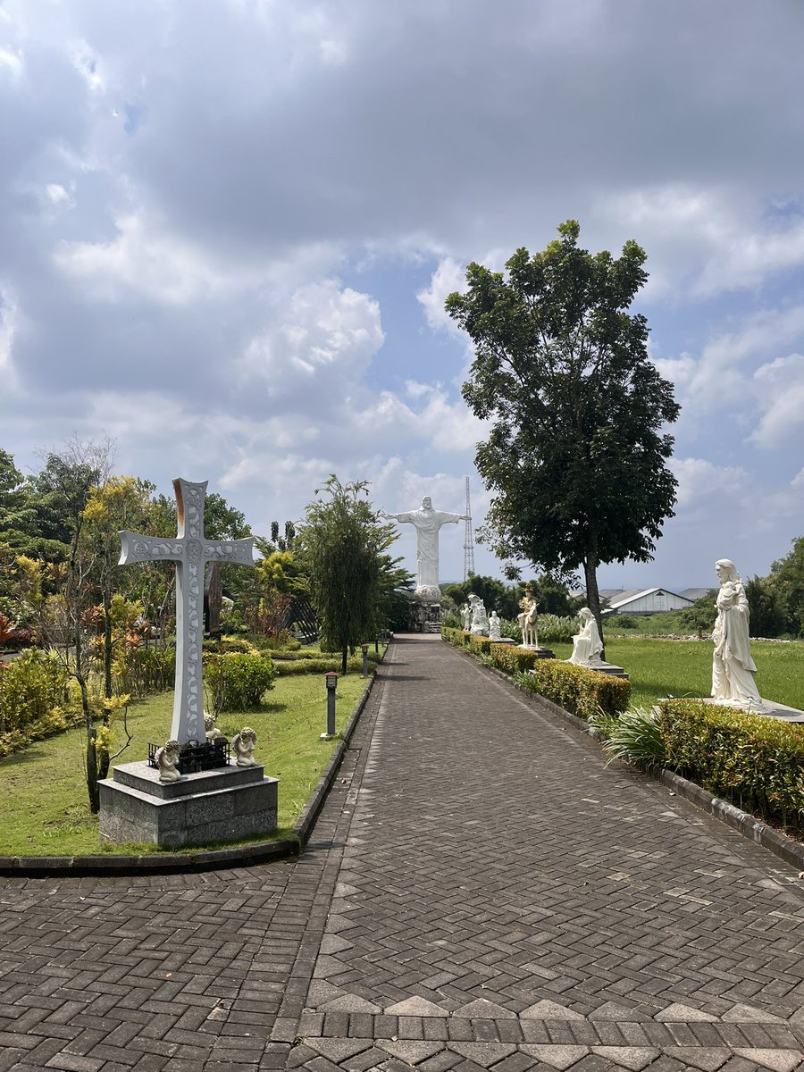 Foreign body tweet media