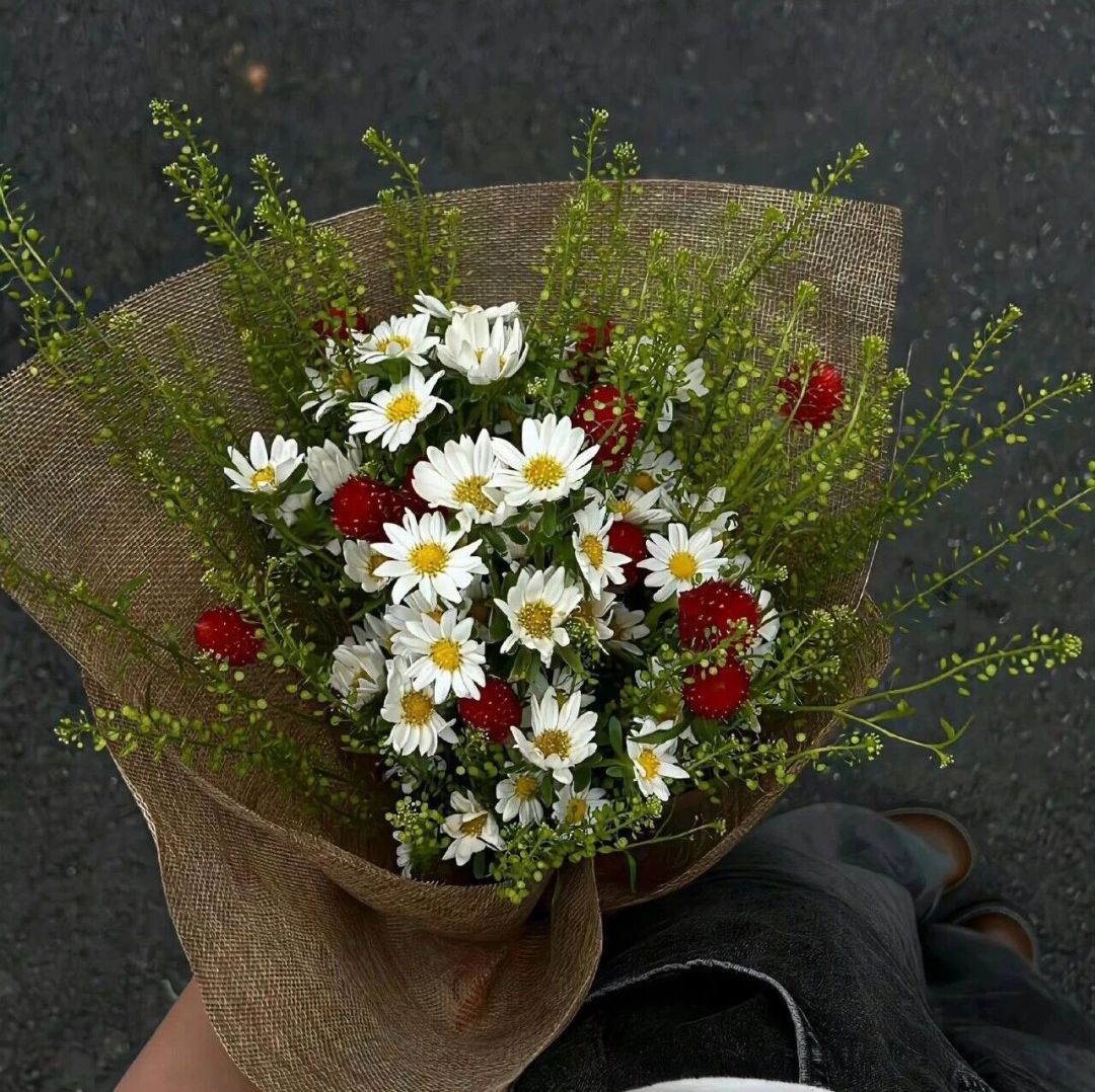 𝐒𝐞𝐫𝐞𝐧𝐚 ‎ꫂ᭪݁ tweet media