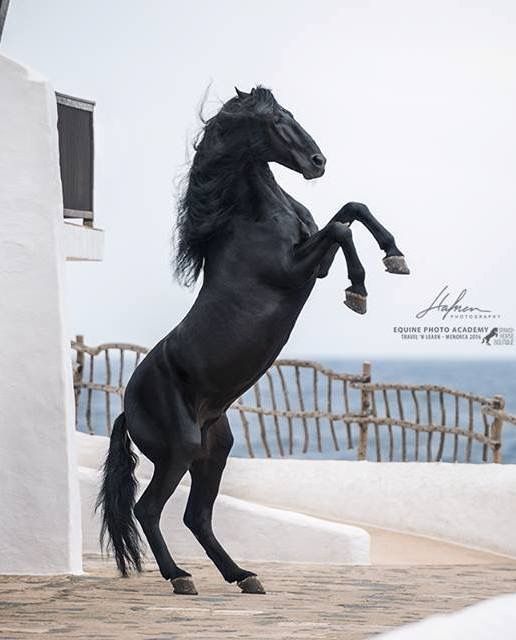 Trey Haas tweet media