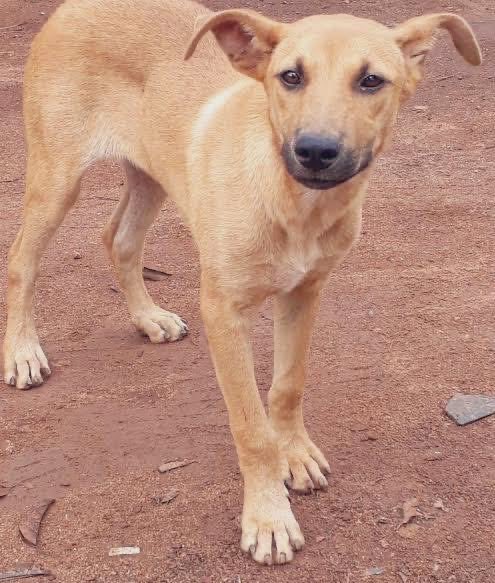 African Hub tweet media