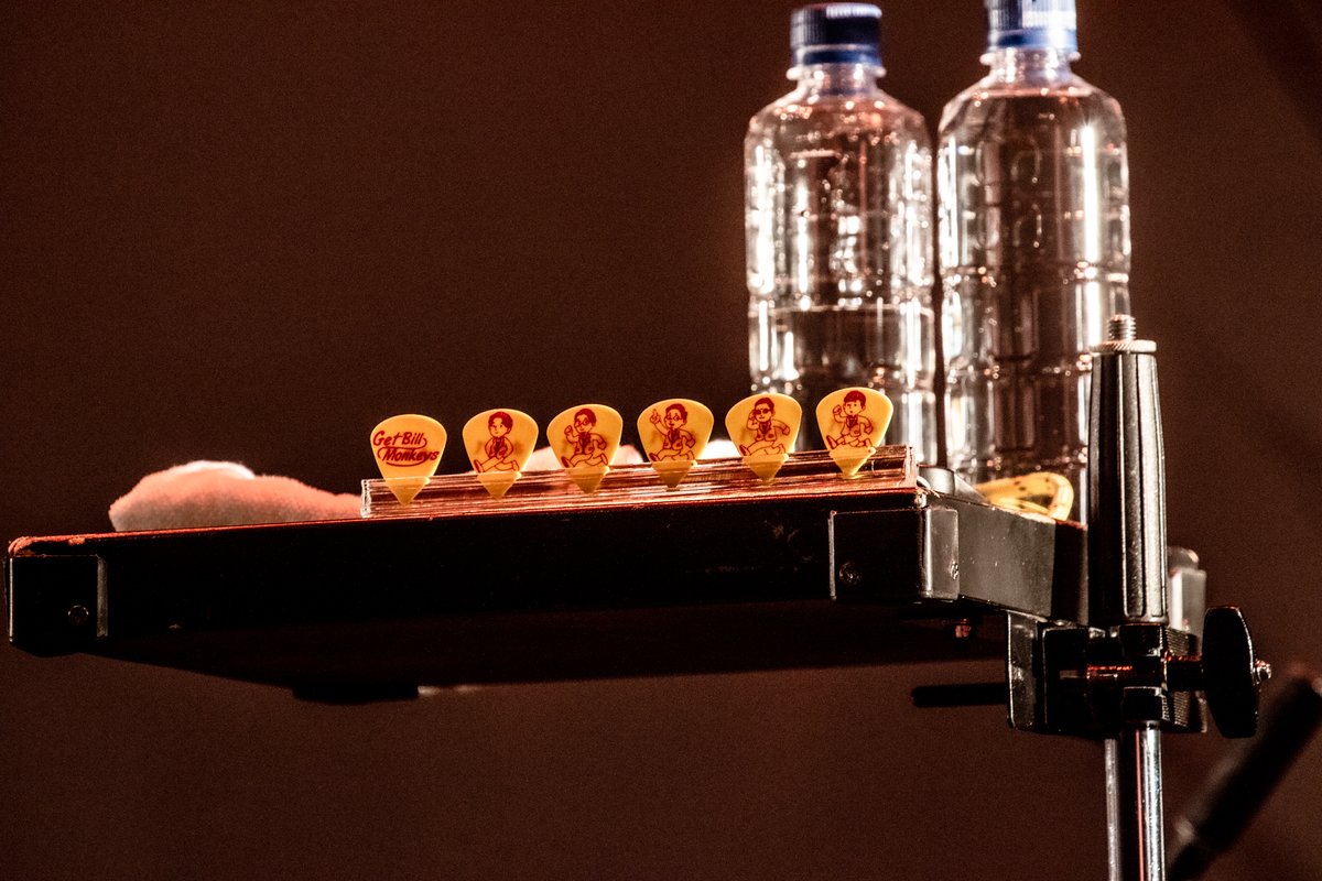 GET BILL MONKEYS tweet media