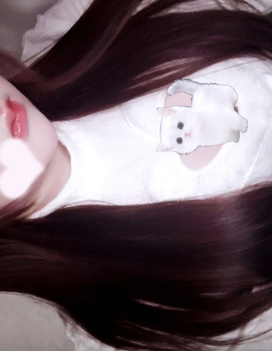 毒殺天使 tweet media