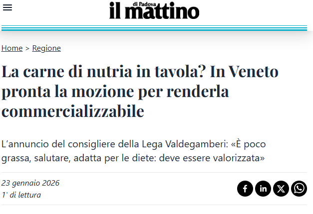 AnnEm･🦋🏆 tweet media